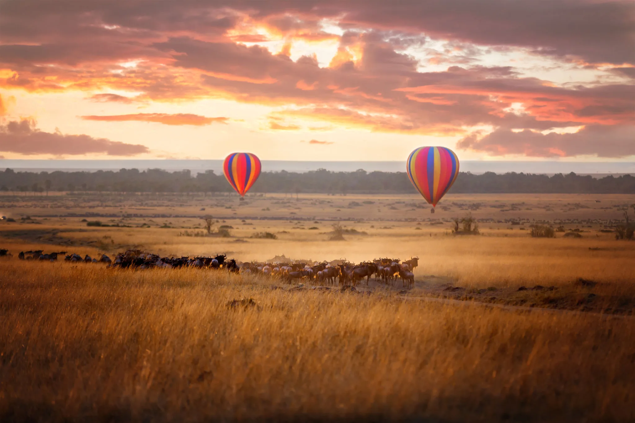 Hot air balloon floating over the Masai Mara at golden sunrise